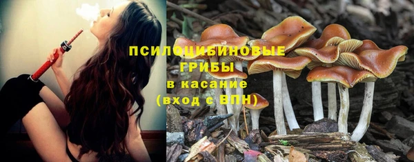 СК Няндома